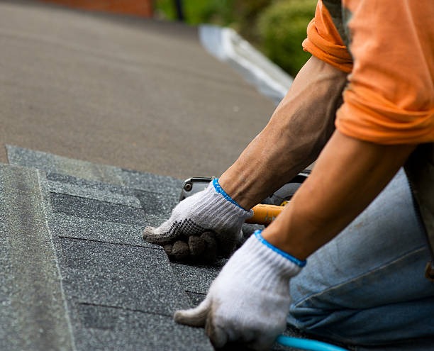Roofing Contractor Your Complete Guide to Quality Roof Services