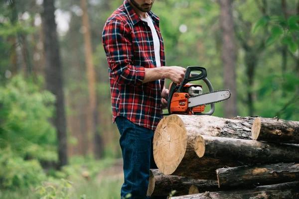 Professional Tree Removal Services in Shelton WA